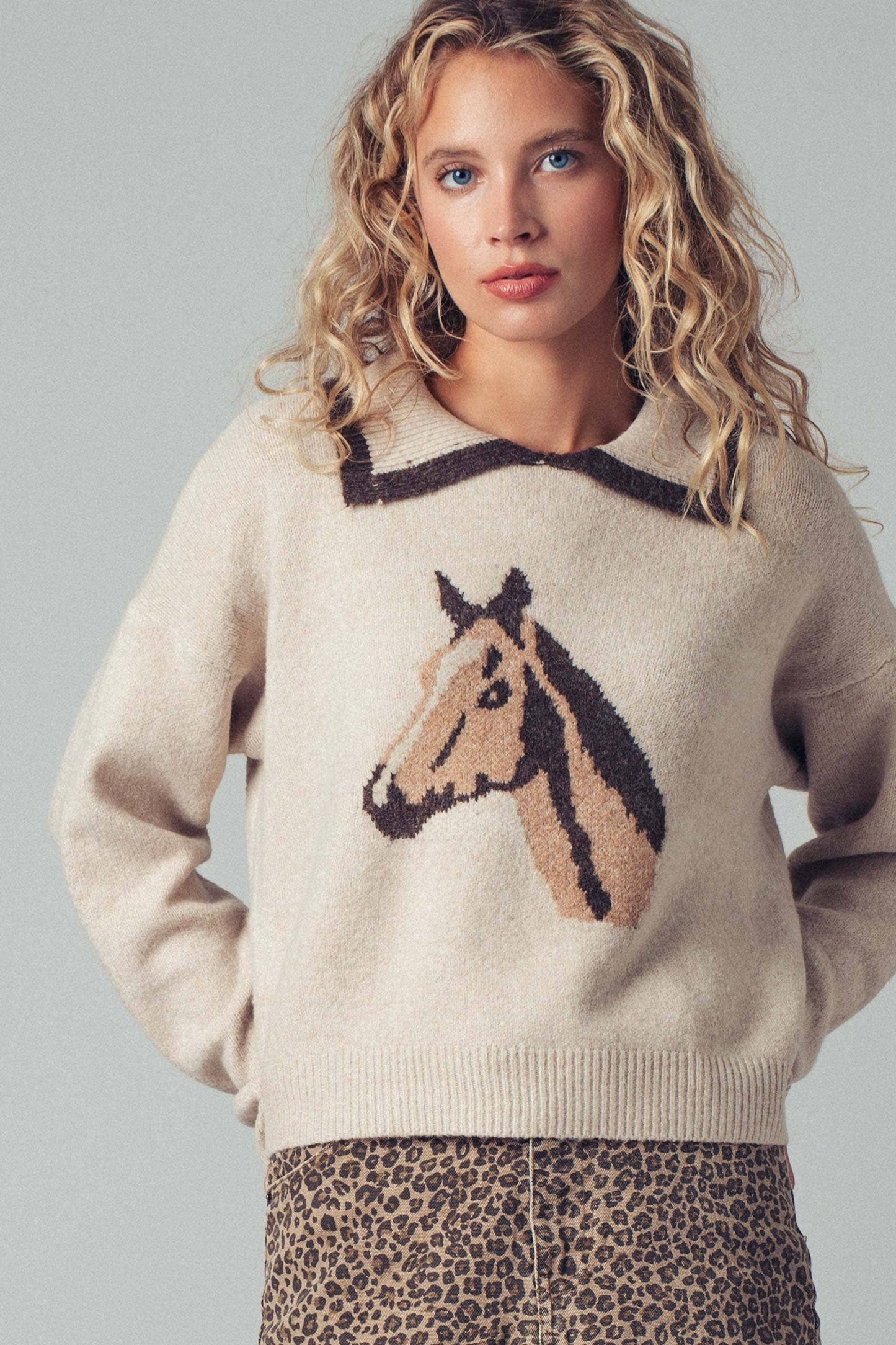 Morgan📚Sweater: Horse Motif Knit Sweater